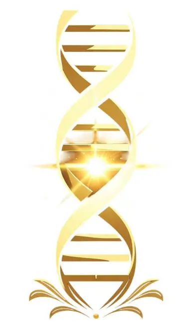 dna repair