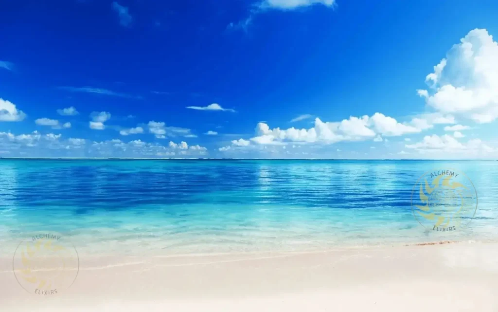 ocean ormus